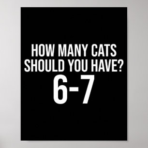 Póster Cuántos Gatos Deberías Tener 6-7 Divertido 67 Meme
