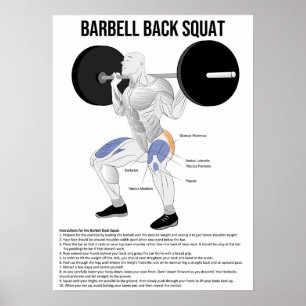 Póster Cuartel - Ejercicio - Gráfico de anatomía muscular