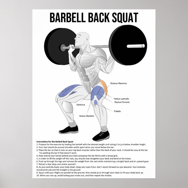 Póster Cuartel - Ejercicio - Gráfico de anatomía muscular (Frente)