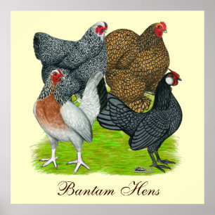Póster Cuarteto Bantam Hen, Bantam Hens