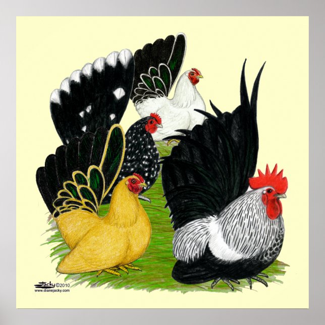 Póster Cuarteto Bantam japonés (Frente)