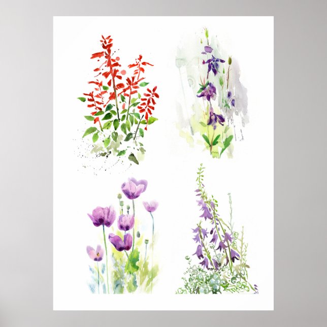 Póster Cuarteto de jardín florecido  Cuatro acuarelas bot (Frente)