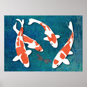 Póster Cuarteto de Kohaku anaranjado y blanco Koi
