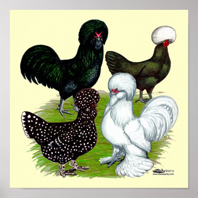 Póster Cuarteto de pollo con sombrero superior (Frente)