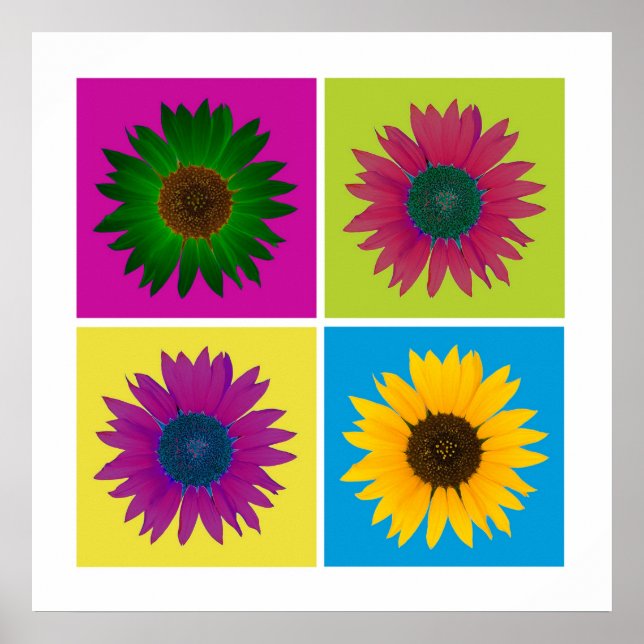 Póster Cuatro girasoles en Poster de color (Frente)