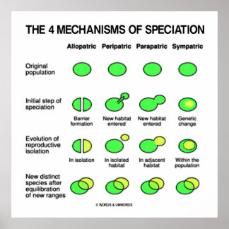 Póster Cuatro Mecanismos De Evolución De Especies