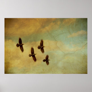 Póster Cuatro Ravens Volando