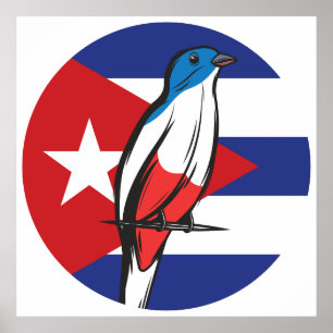 Póster Cuba: El trogador cubano Tocororo