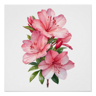 Póster Cubierta acuarela de flores de Azalea