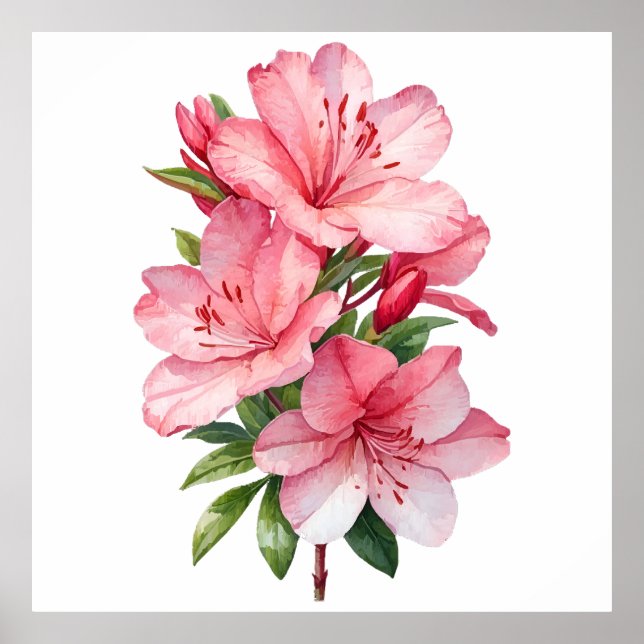 Póster Cubierta acuarela de flores de Azalea (Frente)