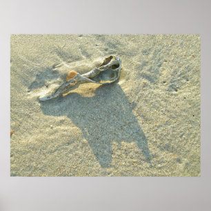 Póster Cubierta con lavado de ondas poster