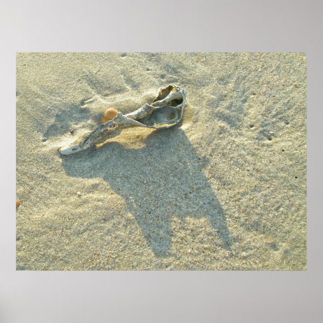 Póster Cubierta con lavado de ondas poster (Frente)