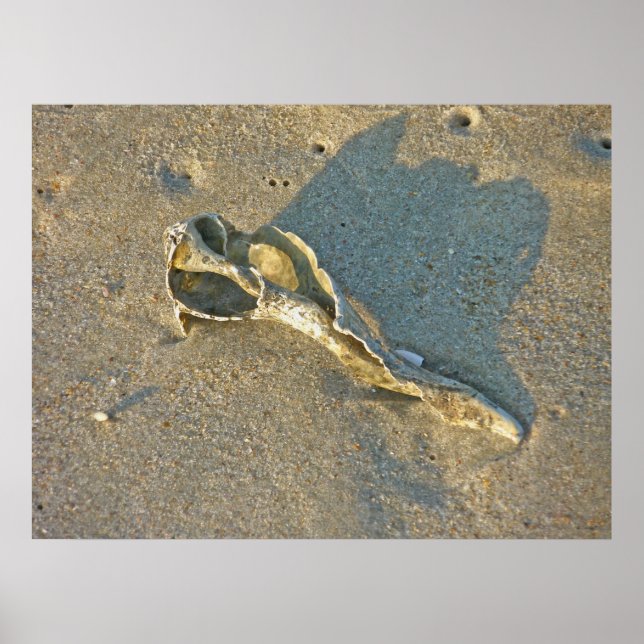 Póster Cubierta con lavado de ondas poster (Frente)