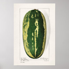 Póster Cubierta de frutas (Citrullus Lanatus)