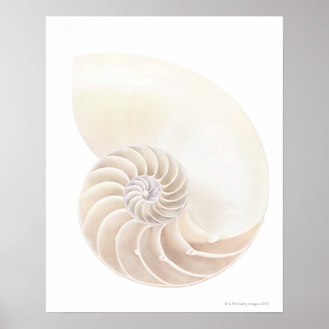 Póster Cubierta de Nautilus, cierre (Frente)