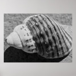 Póster Cubierta oceánica monocromática en blanco y negro