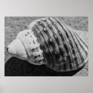 Póster Cubierta oceánica monocromática en blanco y negro
