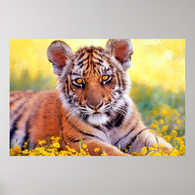 Póster Cubo de bebé de tigres (Frente)