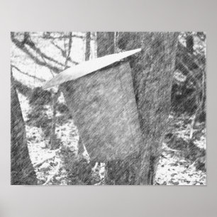Póster Cubo De Maple Sap En El Árbol De Lápiz Negro