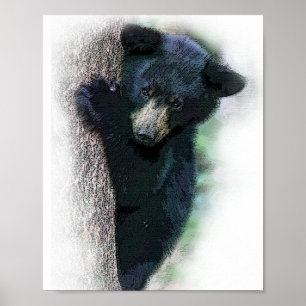 Póster Cubo de oso negro con acuarela linda en árbol