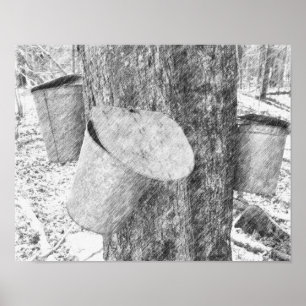 Póster Cubos De Maple Sap En El Árbol De Lápiz Negro