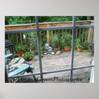 Póster Cubrir gato en la ventana