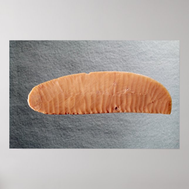 Póster Cuchillo (Frente)