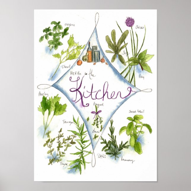 Póster Cuenca acuática del Jardín de la Cocina (Frente)