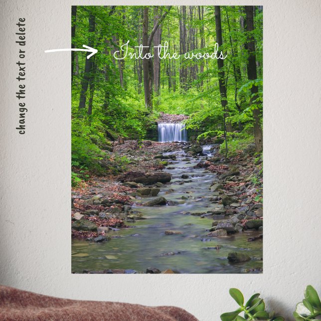 Póster Cuenca del bosque (Subido por el creador)