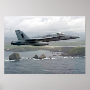 Póster Cuerno F/A-18C
