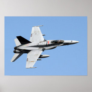 Póster Cuerno F/A-18C