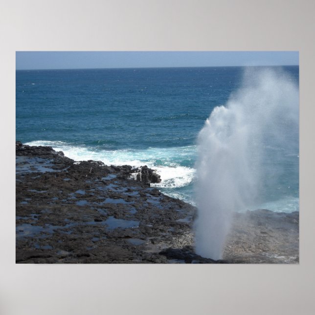 Póster Cuerno que brota en Kauai, Hawái (Frente)