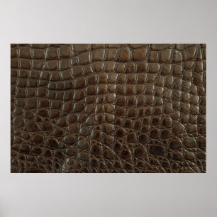 Póster Cuero de caimanes marrón auténtico, cerca para mos