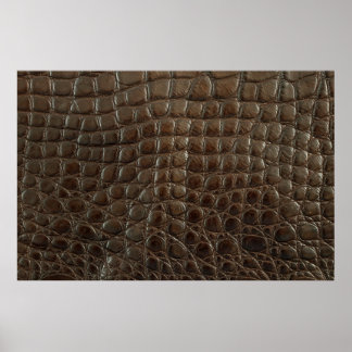 Póster Cuero de caimanes marrón auténtico, cerca para mos