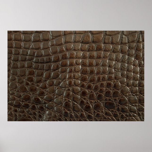 Póster Cuero de caimanes marrón auténtico, cerca para mos (Frente)
