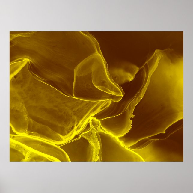 Póster Cuero rojo, textura (Frente)