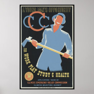 Póster Cuerpo Civil de Conservación: Estudio de Juego de