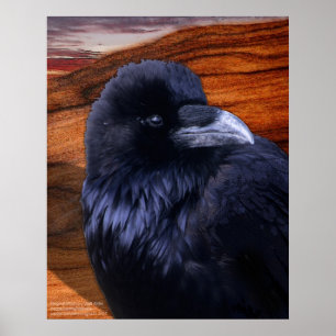 Póster Cuervo de Blazen