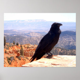 Póster Cuervo del NG