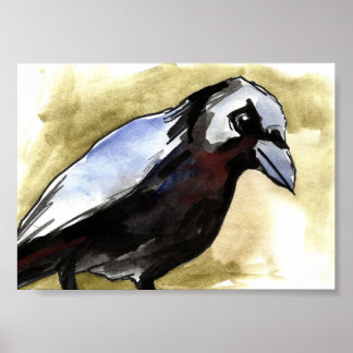 Póster cuervo en ciernes