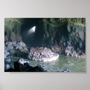 Póster Cueva de león marino, O