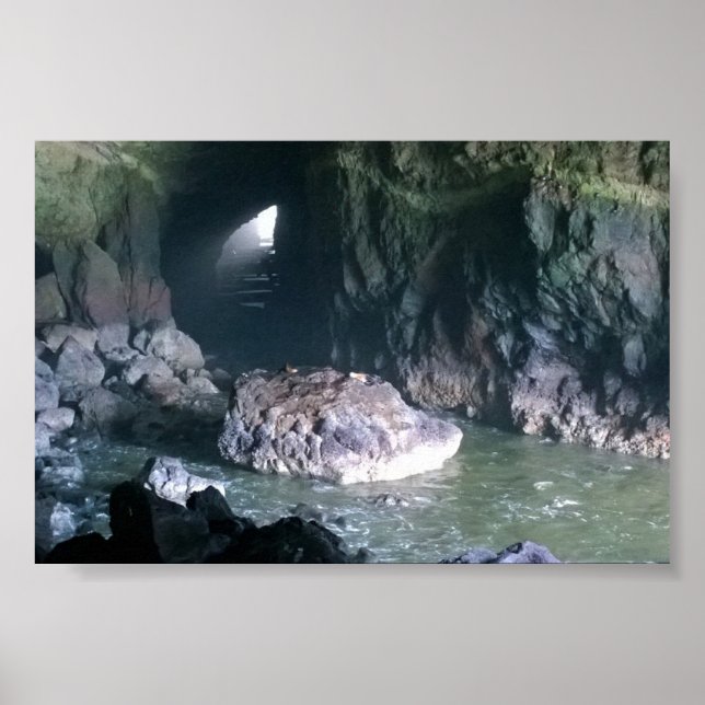 Póster Cueva de león marino, O (Frente)