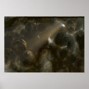 Póster Cueva extraña de Therone el