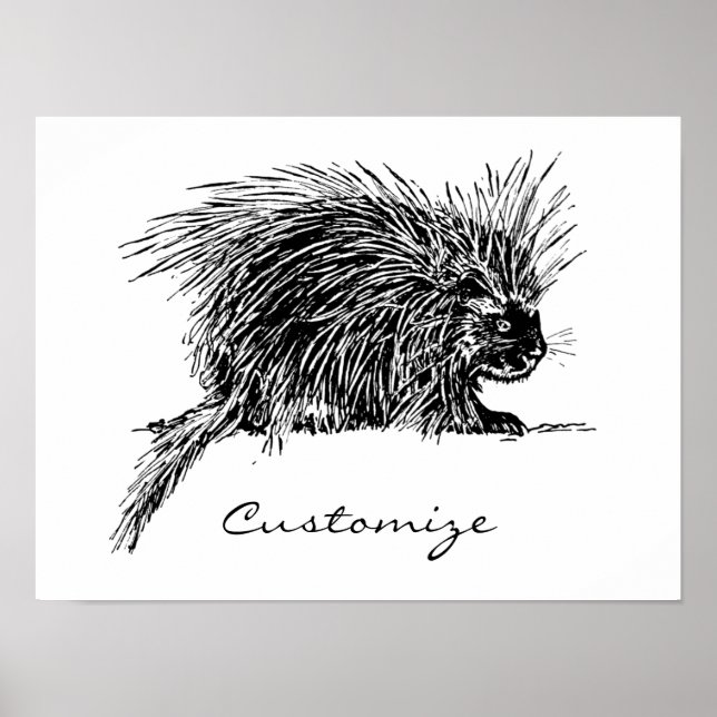 Póster Cuidada y espeluznante Hedgehog Thunder_Cove (Frente)