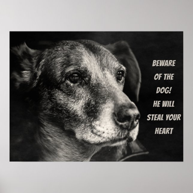 Póster Cuidado con el perro, foto del mascota personaliza (Frente)