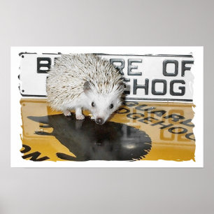 Póster Cuidado con Hedgehog