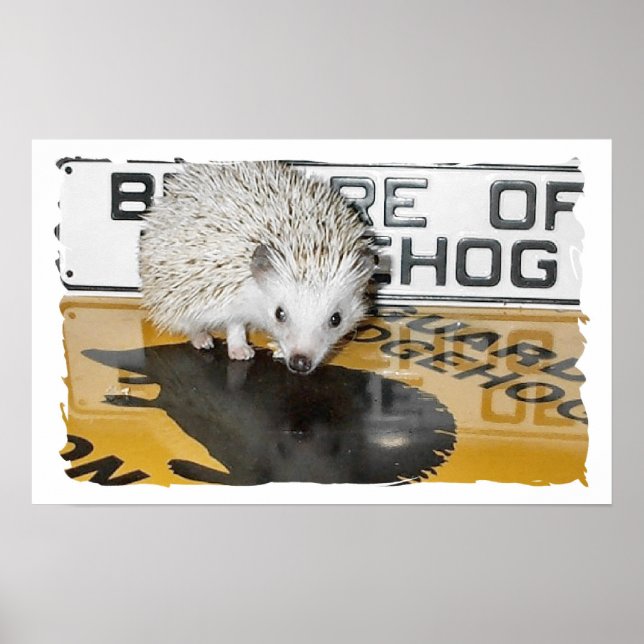 Póster Cuidado con Hedgehog (Frente)