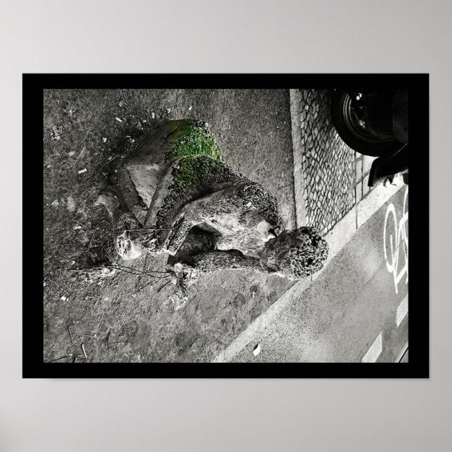 Póster Cuidador (Frente)