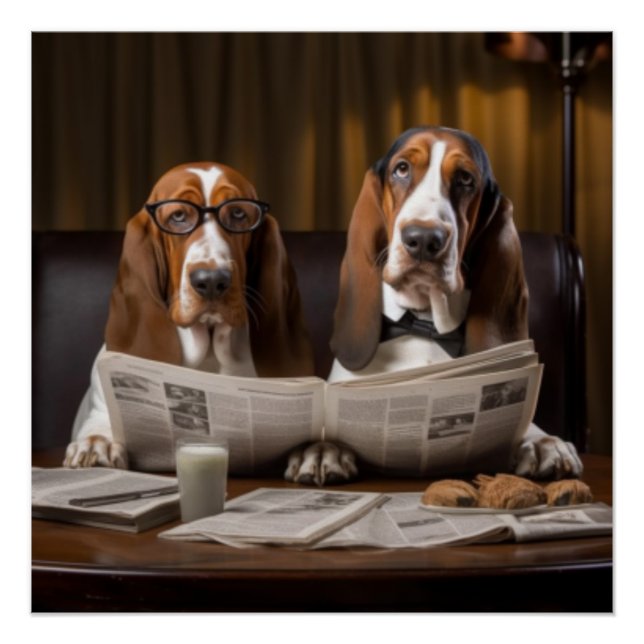 Póster Cuidados basset hounds leyendo el periódico (Anverso)