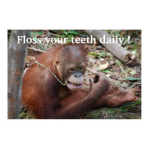 Cuidados Didentales Floss Children's Dentist